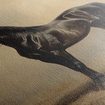 Horses 199 Canvas Art 60 x 40 cm / Black