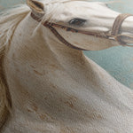Horses 207 Canvas Art 60 x 40 cm / Black
