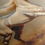 Horses 208 Canvas Art 60 x 40 cm / Black
