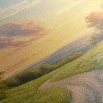 Landscape 211 Canvas Art 60 x 40 cm / Black