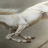 Horses 218 Canvas Art 60 x 40 cm / Black
