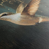 Animals 226 Canvas Art 60 x 40 cm / Black