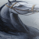 Horses 226 Canvas Art 60 x 40 cm / Black