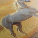 Horses 230 Canvas Art 60 x 40 cm / Black