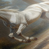 Horses 232 Canvas Art 60 x 40 cm / Black