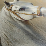 Horses 237 Canvas Art 60 x 40 cm / Black
