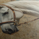 Horses 238 Canvas Art 60 x 40 cm / Black