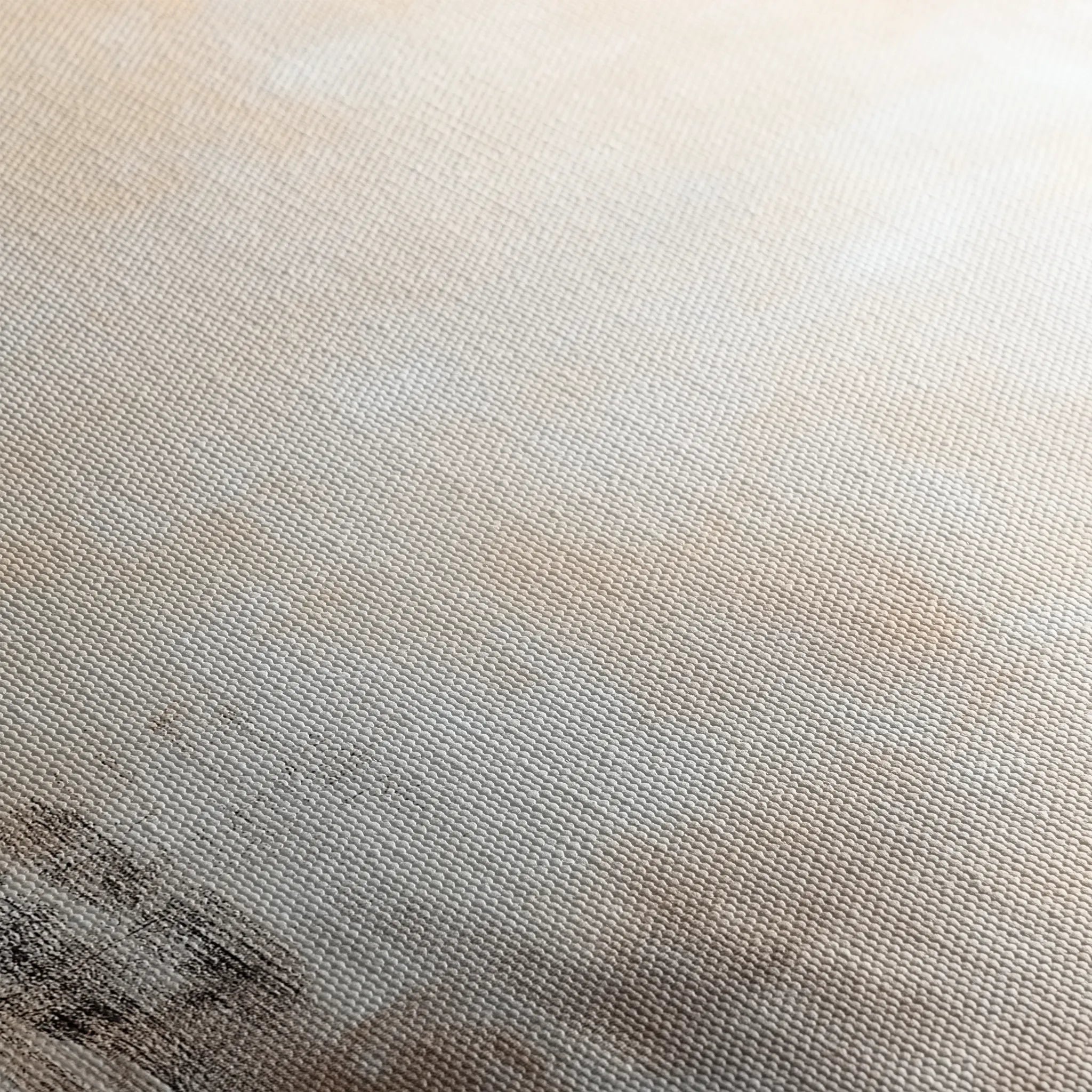 Abstract 356 Canvas Art 60 x 40 cm / Black