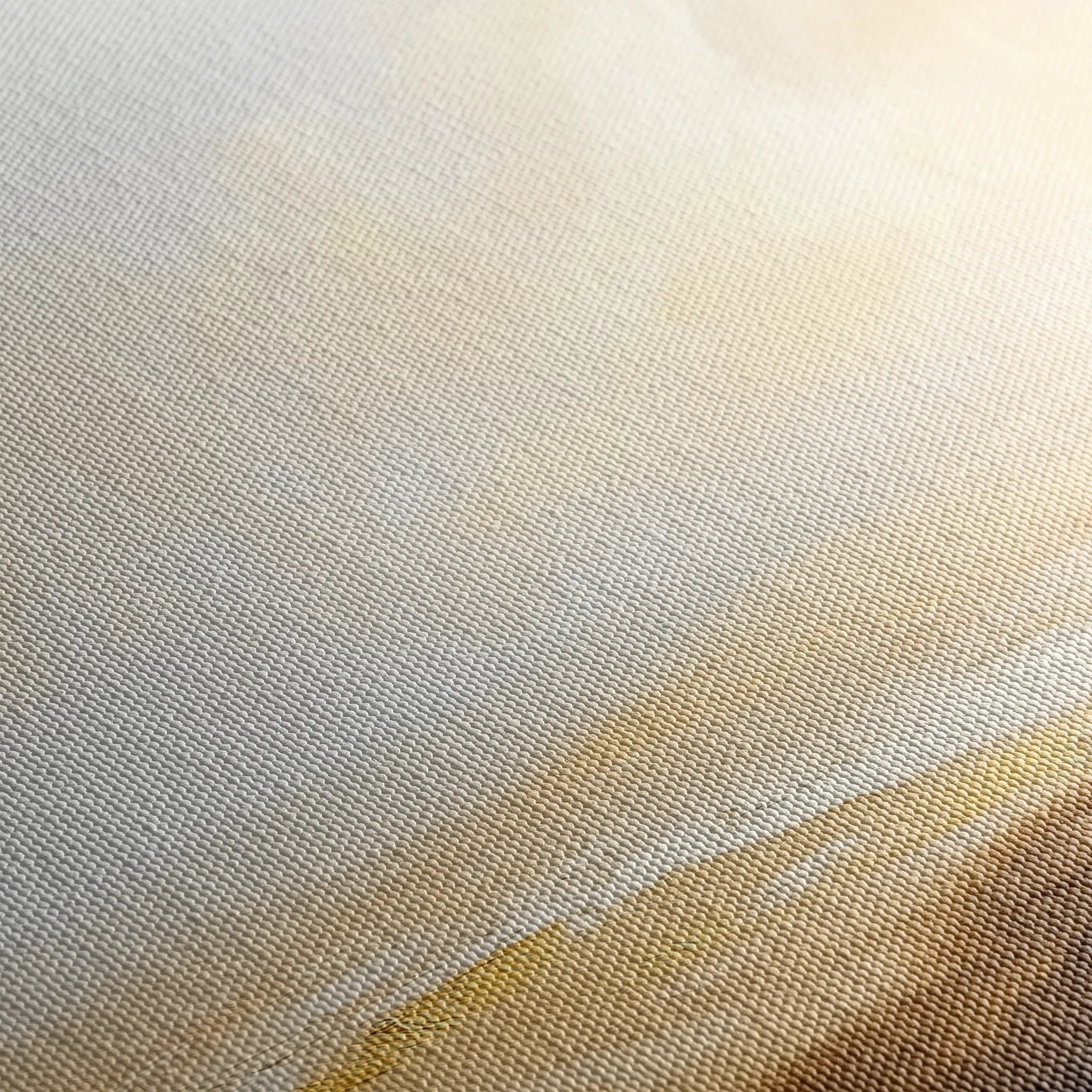 Abstract 434 Canvas Art 60 x 40 cm / Black